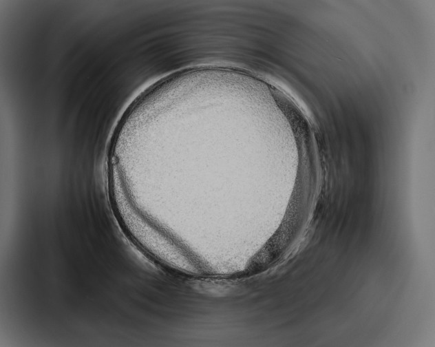 X0000086741092200705111630