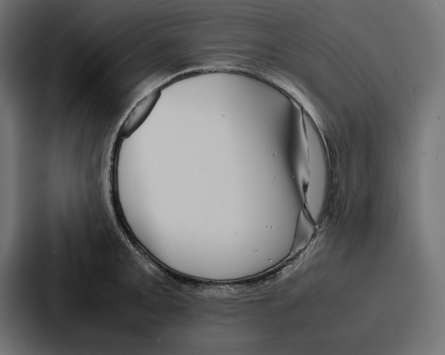 X0000086741093200705111630