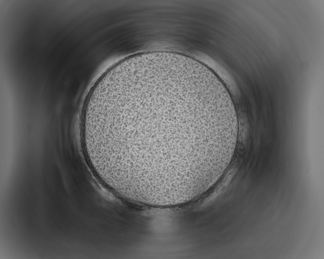 X0000086741094200705111630