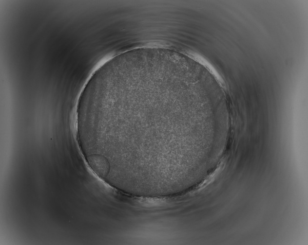 X0000086741095200705111630