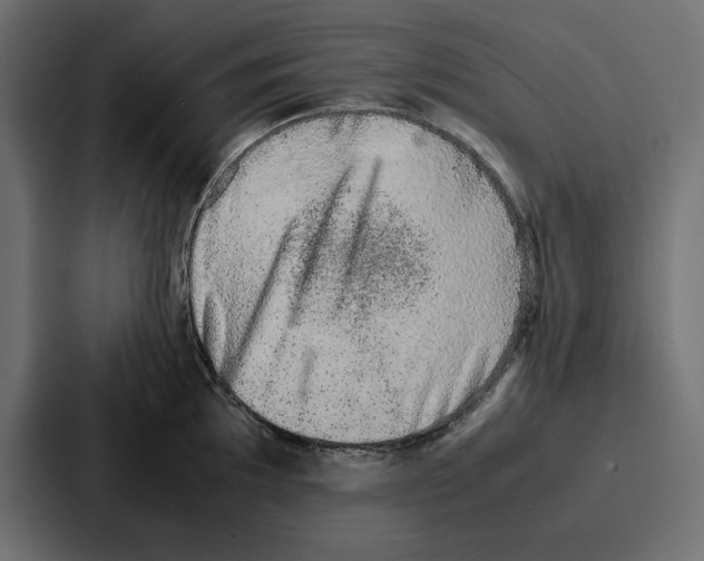 X0000086741097200705111630