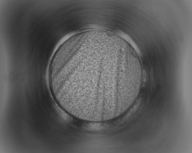 X0000086741098200705111630