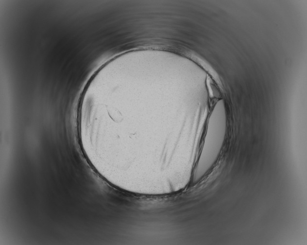 X0000086741099200705111630