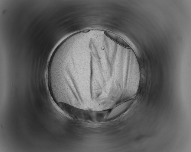 X0000086741100200705111630