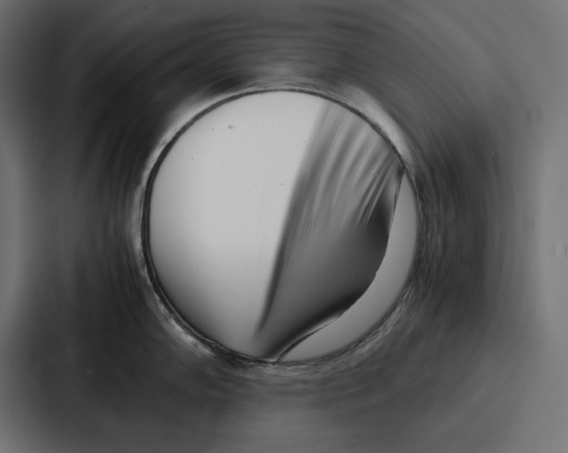 X0000086741102200705111630