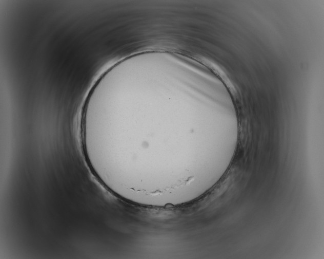 X0000086741103200705111630