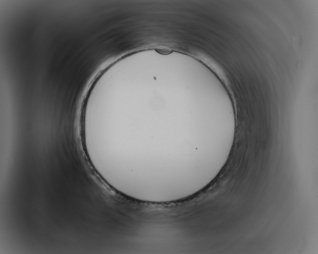 X0000086741104200705111630