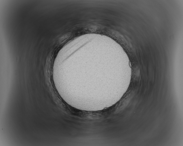 X0000086741105200705111629