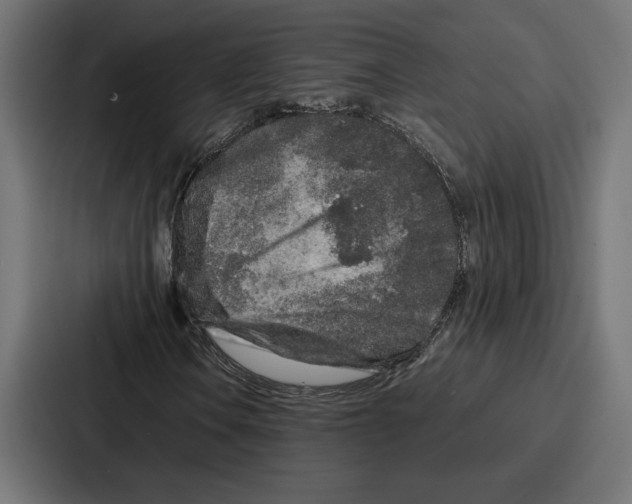 X0000086741106200705111629