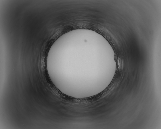 X0000086741107200705111629