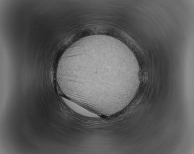 X0000086741108200705111629