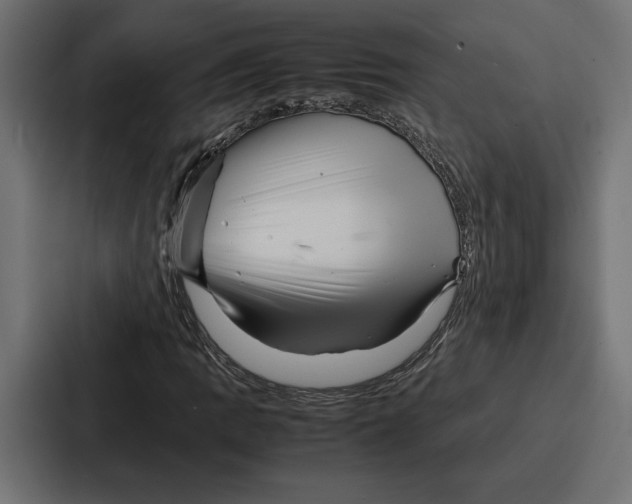 X0000086741109200705111629