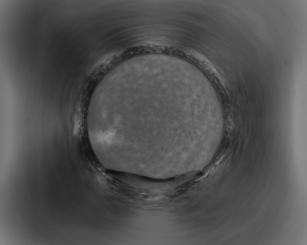 X0000086741110200705111629