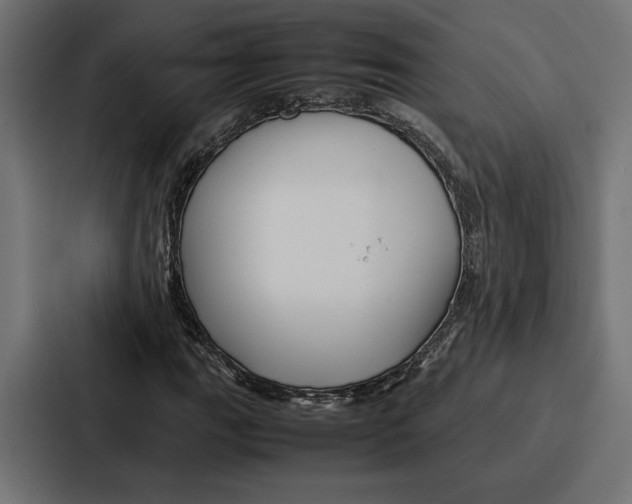 X0000086741111200705111629