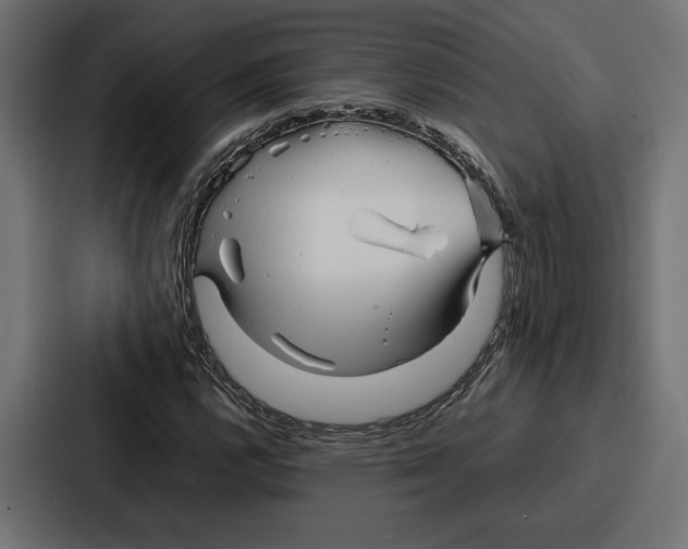 X0000086741112200705111629