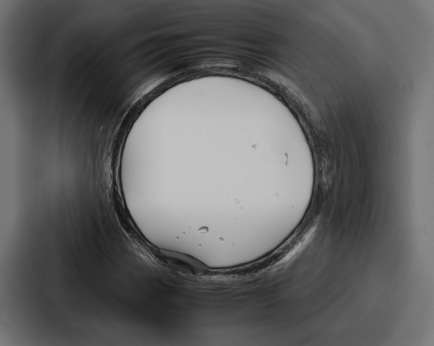 X0000086741113200705111629