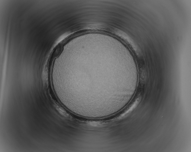 X0000086741114200705111629