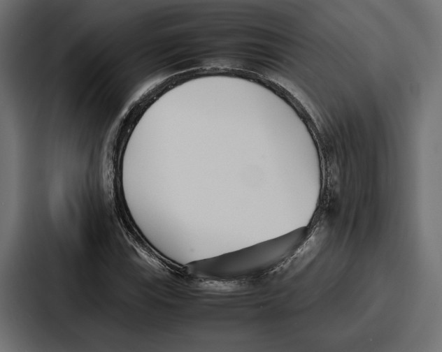 X0000086741115200705111629