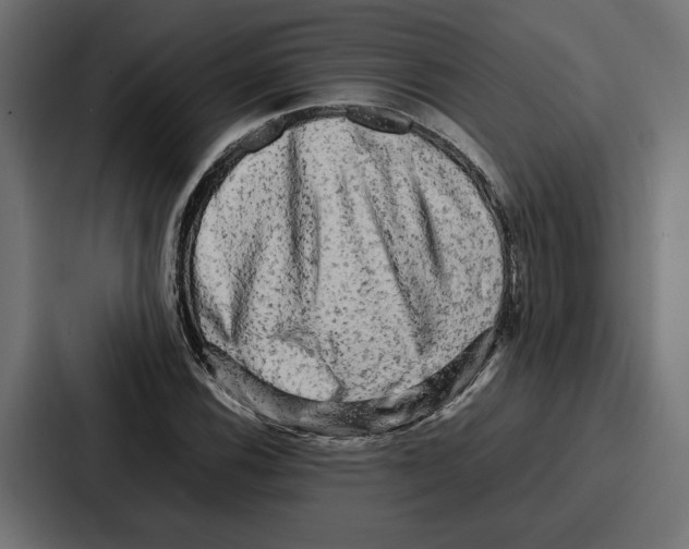 X0000086741116200705111629