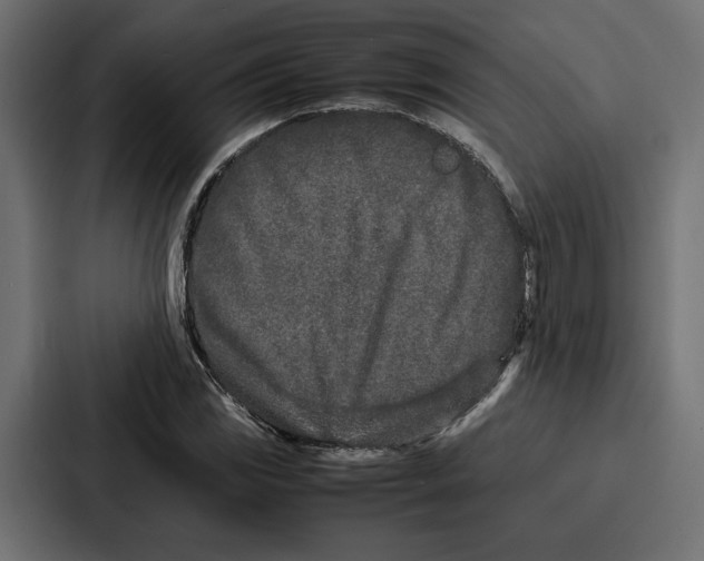 X0000086741117200705111629