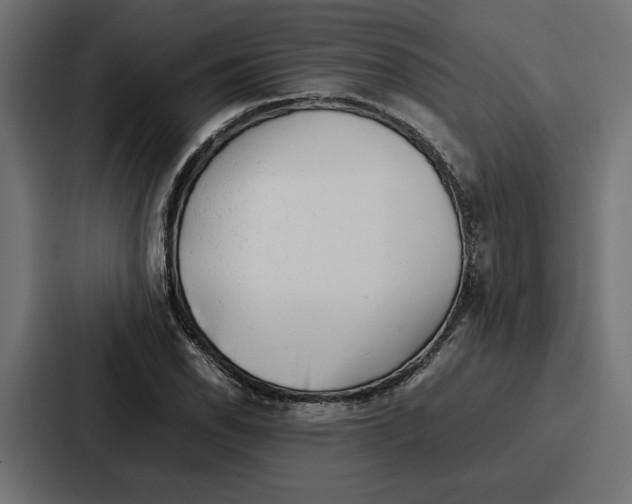 X0000086741118200705111629