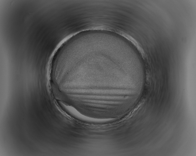 X0000086741120200705111629