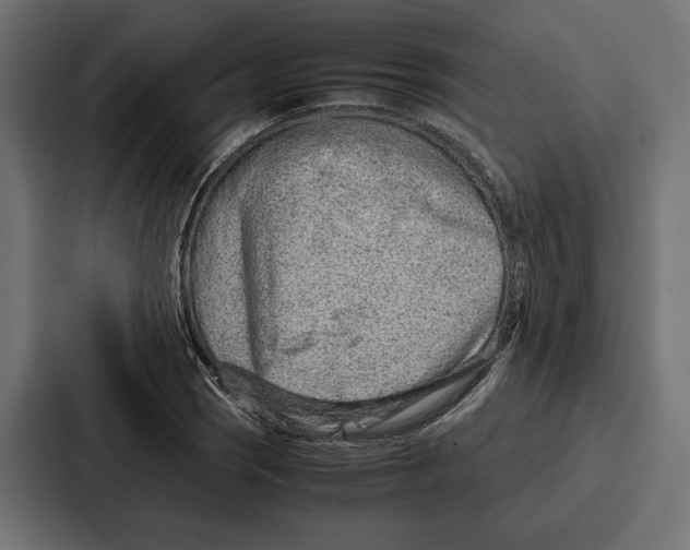 X0000086741121200705111629