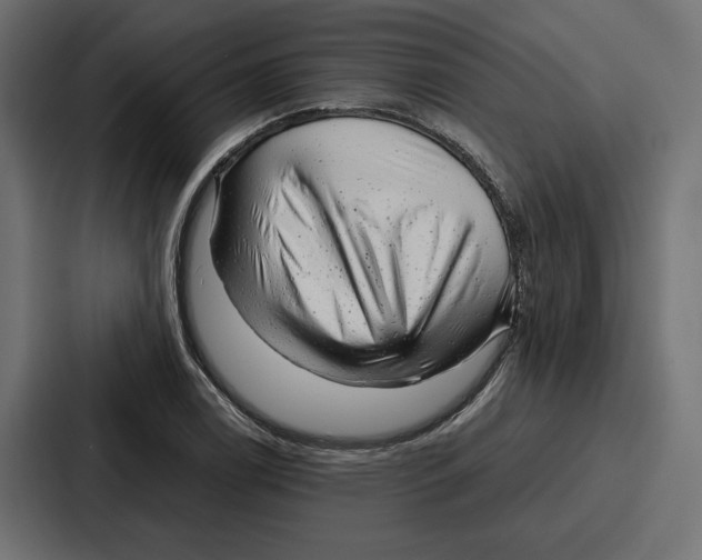 X0000086741122200705111629