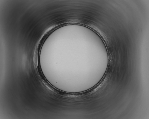 X0000086741123200705111629