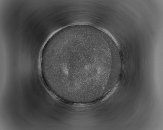 X0000086741124200705111629