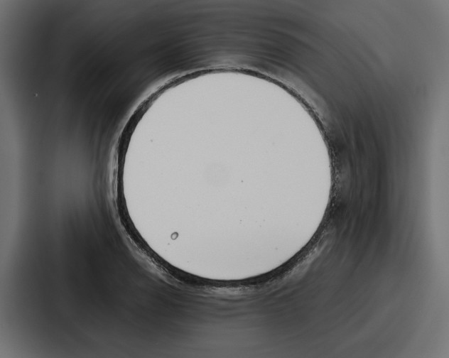 X0000086741126200705111629