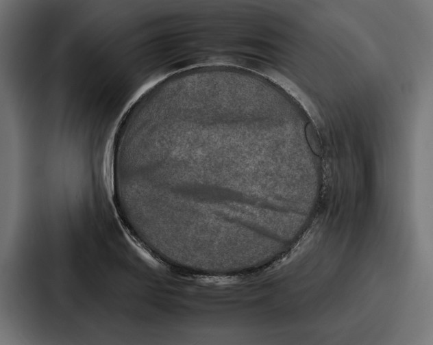 X0000086741127200705111629