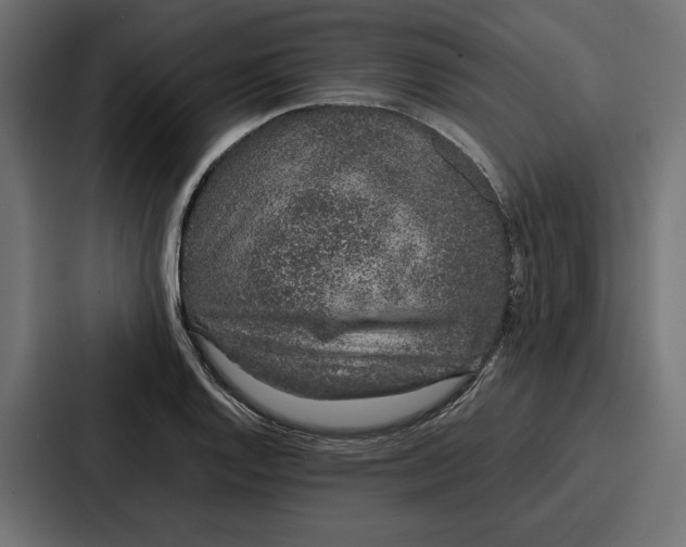 X0000086741128200705111629