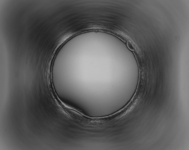 X0000086741129200705111629