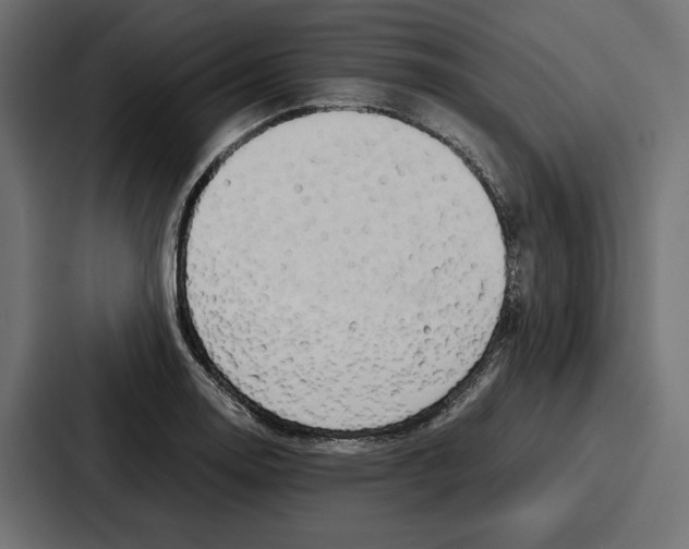 X0000086741130200705111629