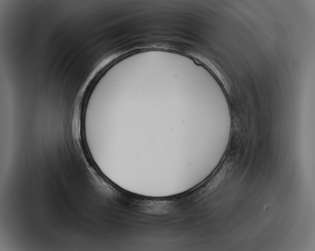 X0000086741131200705111629