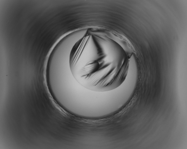 X0000086741132200705111629