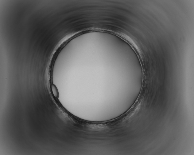 X0000086741133200705111629