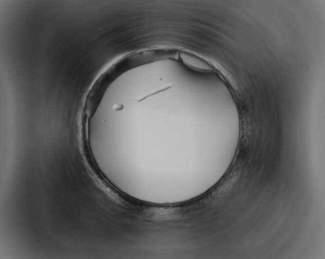 X0000086741134200705111629