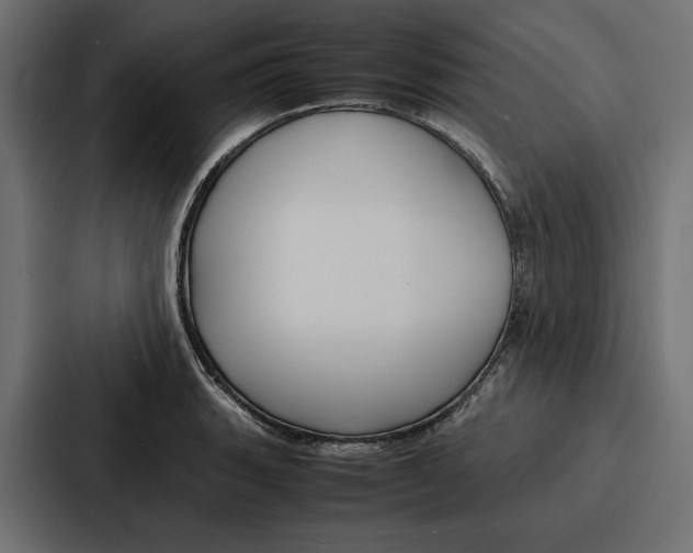 X0000086741135200705111629