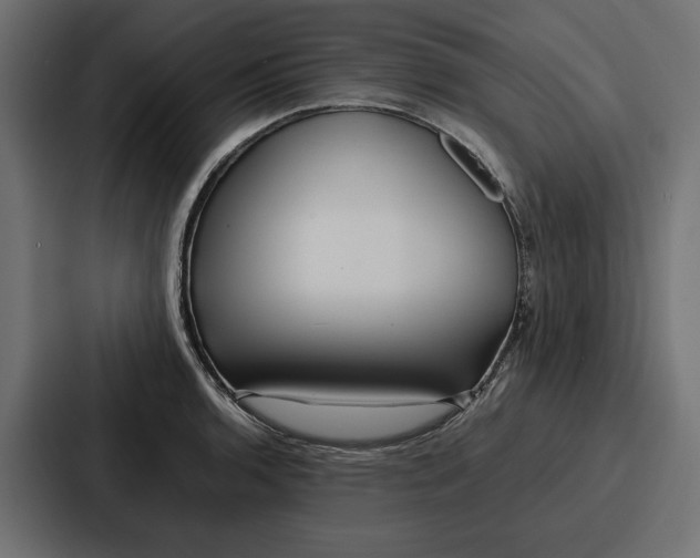 X0000086741136200705111630