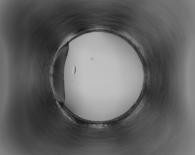 X0000086741137200705111630