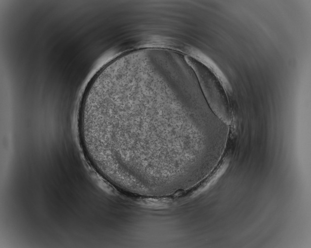 X0000086741138200705111630