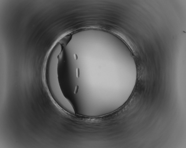 X0000086741139200705111630