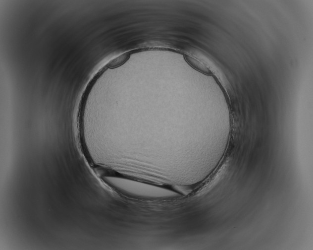 X0000086741141200705111630