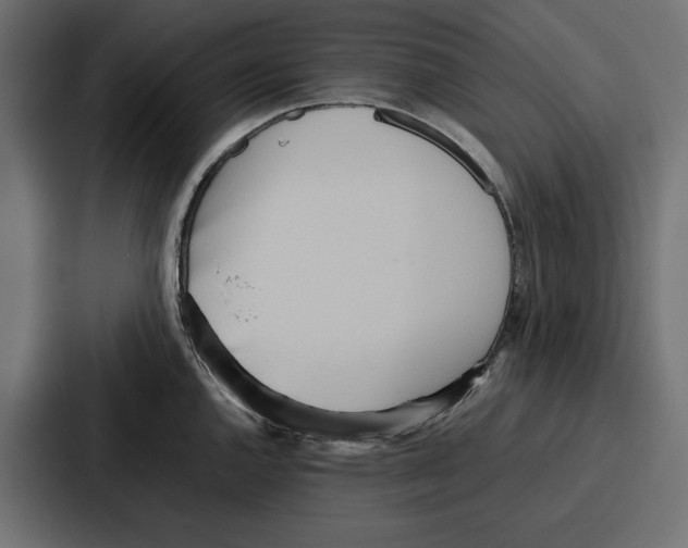 X0000086741144200705111630