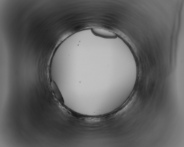 X0000086741145200705111630