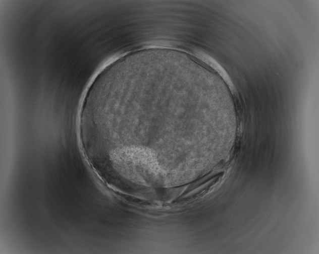 X0000086741146200705111630