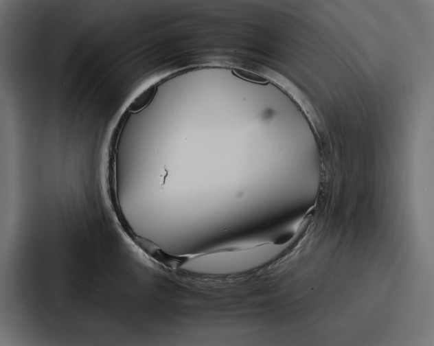 X0000086741147200705111630