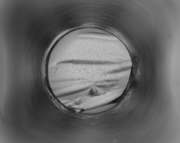 X0000086741148200705111630